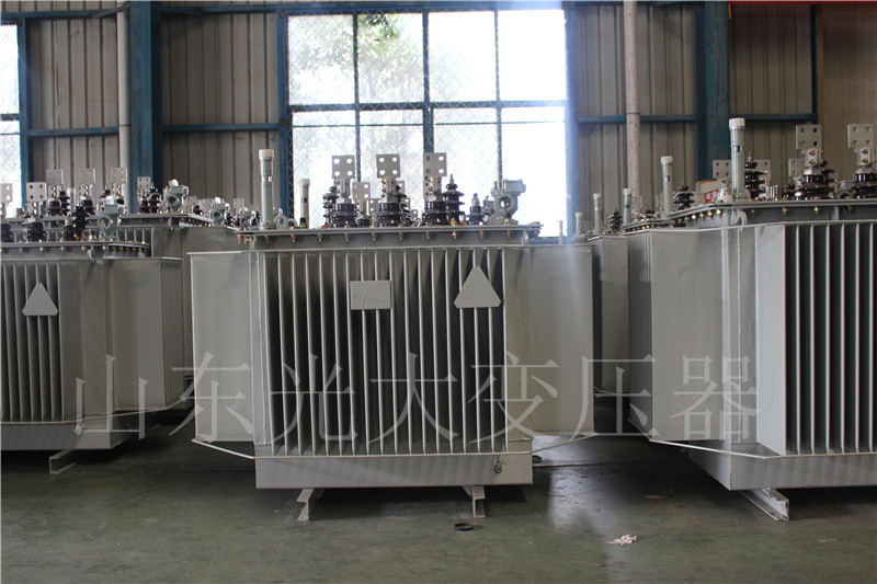 邕宁S20-500KVA/10KV